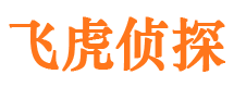 清流市私家侦探